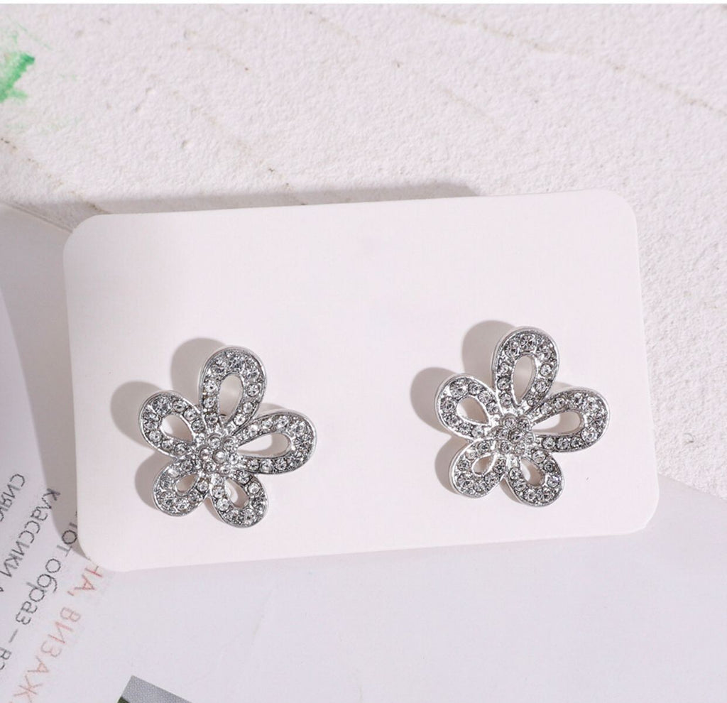 Silver &amp; Golden Earrings
