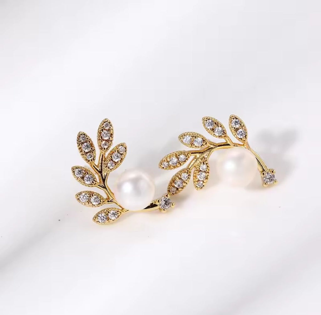 Elegant Earrings